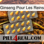 Ginseng For Kidney cialis2